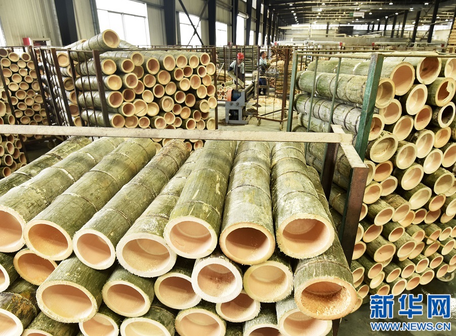 江西資溪:加快毛竹產(chǎn)業(yè)轉型升級 推動竹產(chǎn)業(yè)高質量發(fā)展